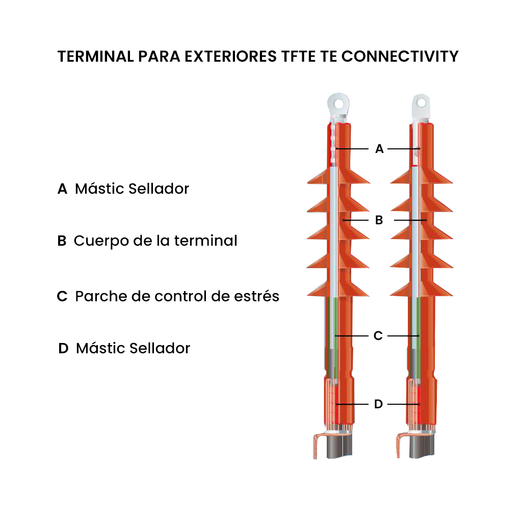 Componentes de la terminal TFTE